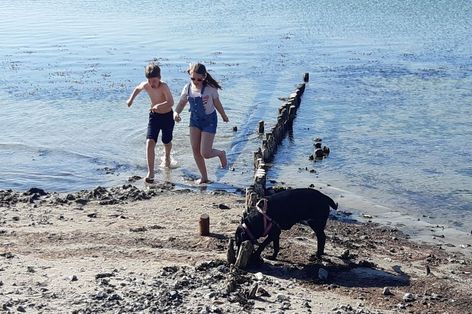 Badetag mit Kindern und dem Hund an Strand